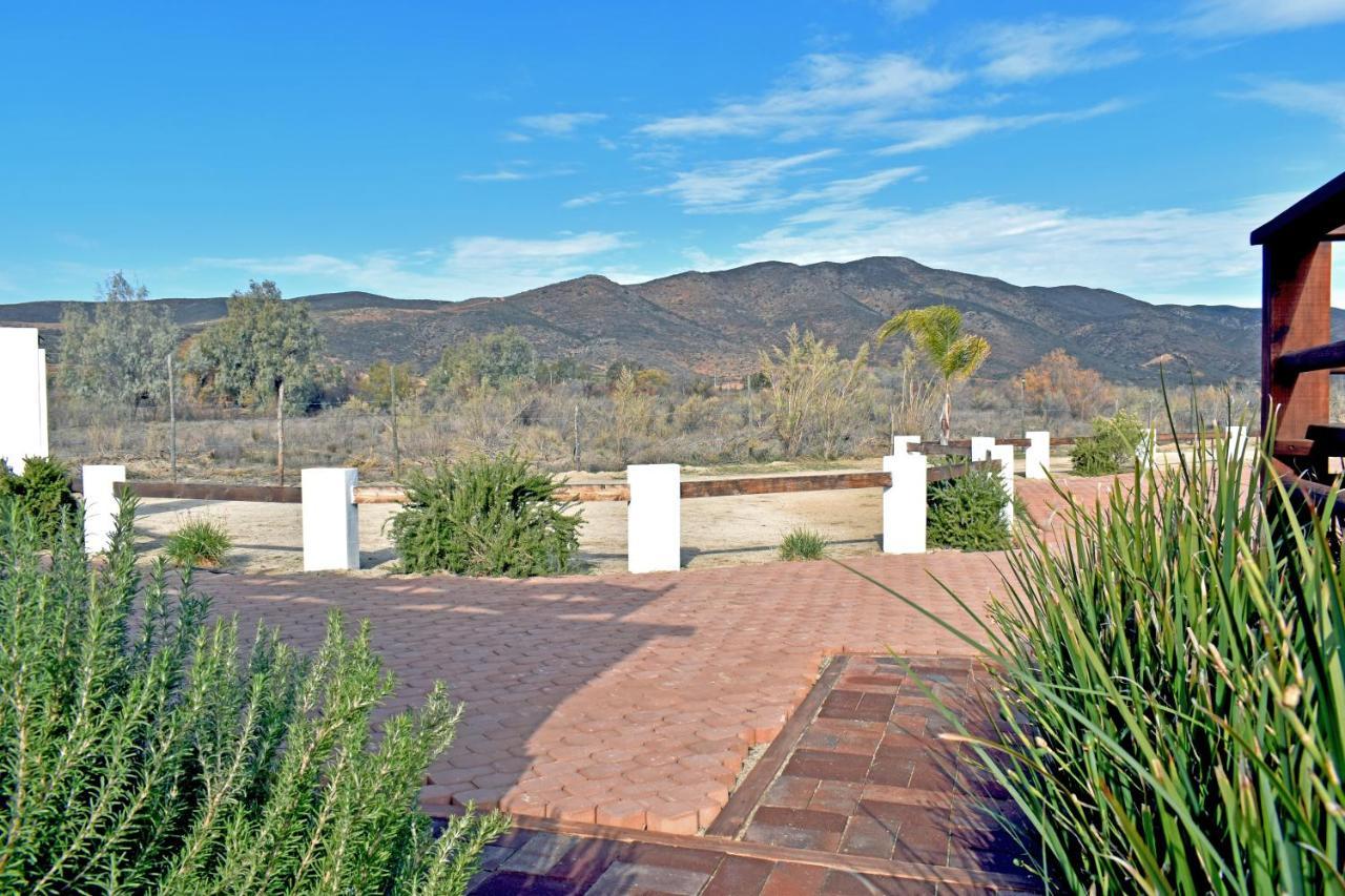 Vides Del Rio Suites Valle de Guadalupe Εξωτερικό φωτογραφία