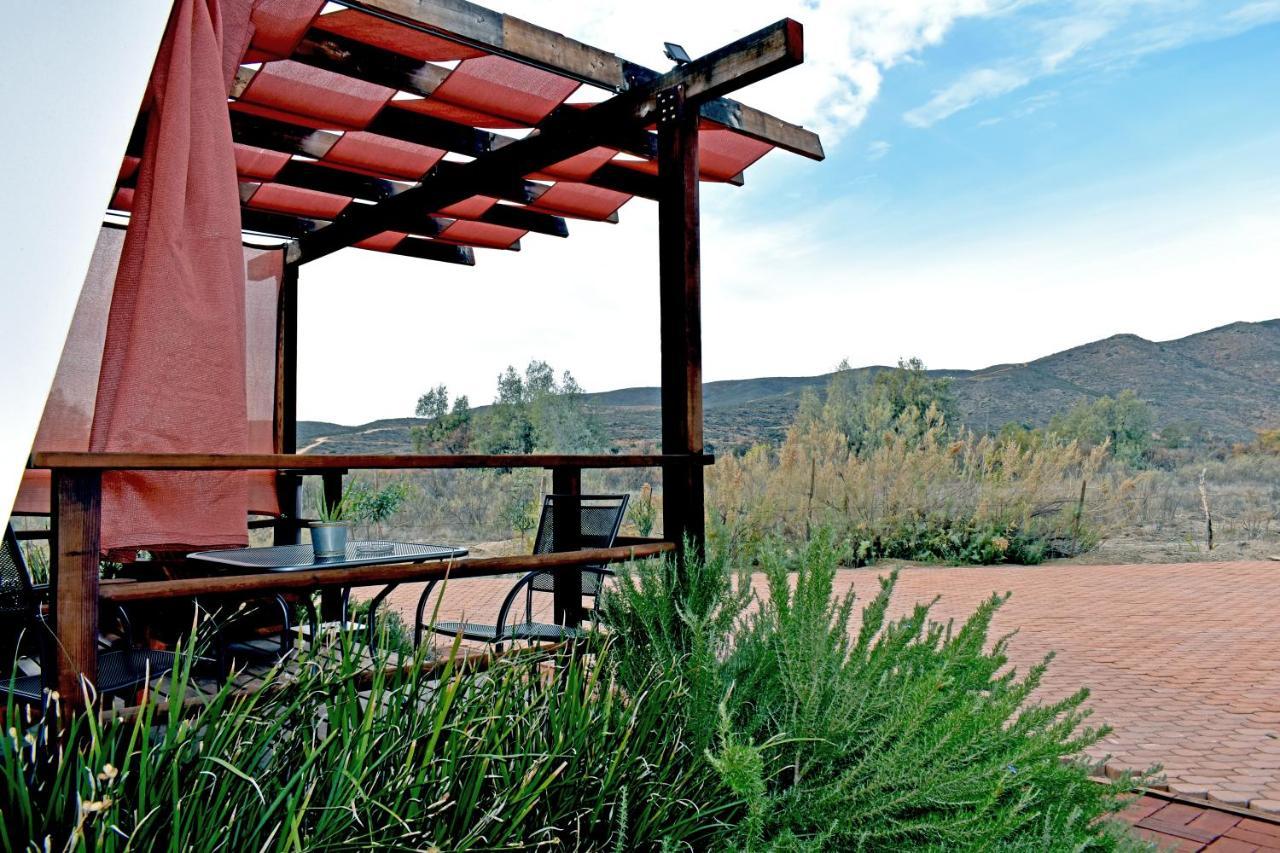 Vides Del Rio Suites Valle de Guadalupe Εξωτερικό φωτογραφία